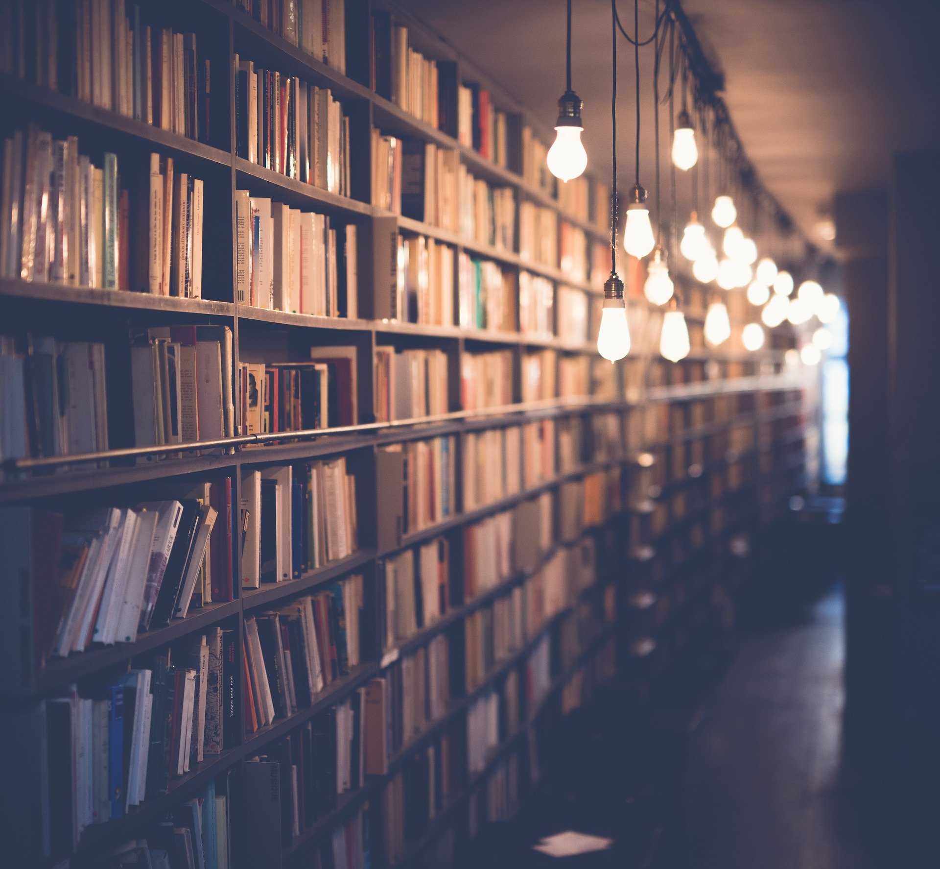 Invito a manifestare interesse alla fornitura di libri per la Biblioteca comunale di La Maddalena ai sensi del Decreto del Ministero per i beni e le attività culturali e per il turismo D.M. n. 8 del 14/01/2022 recante “Disposizioni attuative dell’articolo