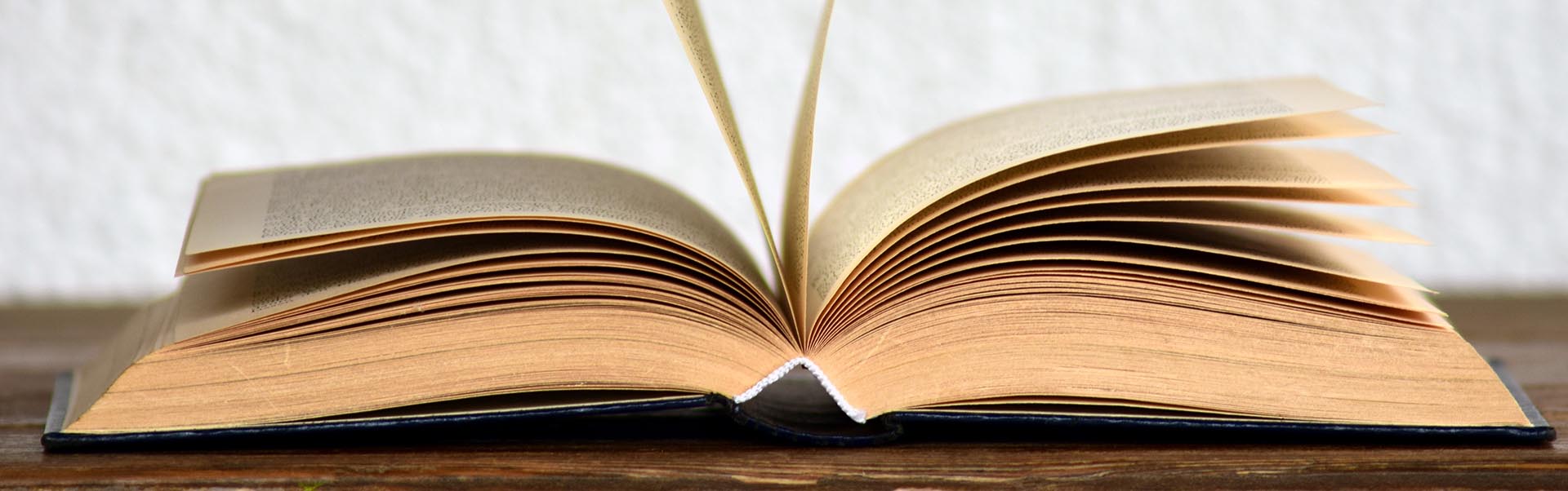 Consultazione degli stakeholders per la revisione e l’aggiornamento della sotto-sezione ‘Rischi corruttivi e trasparenza’ del Piano Integrato di Attività e Organizzazione (PIAO) – Triennio 2025-2027