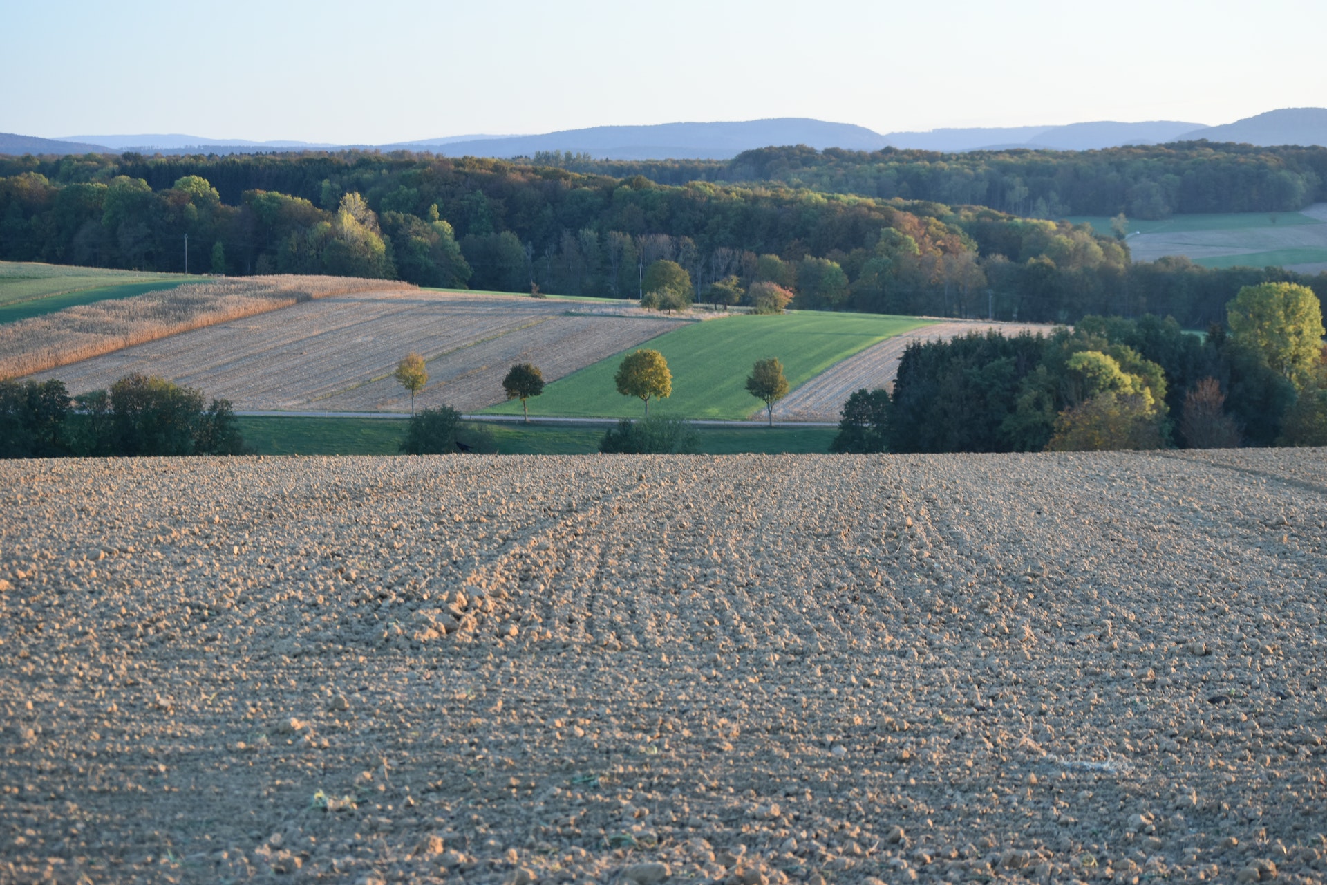 Agricoltura